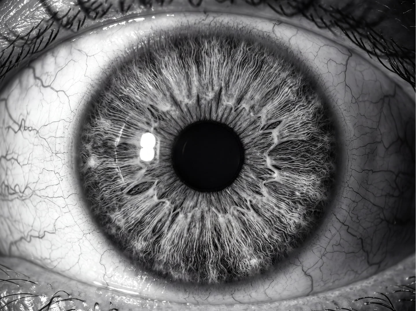 Black-and-white close-up of a human eye and iris